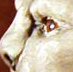 Lyndon Scott Fantasy Art Gargoyle
